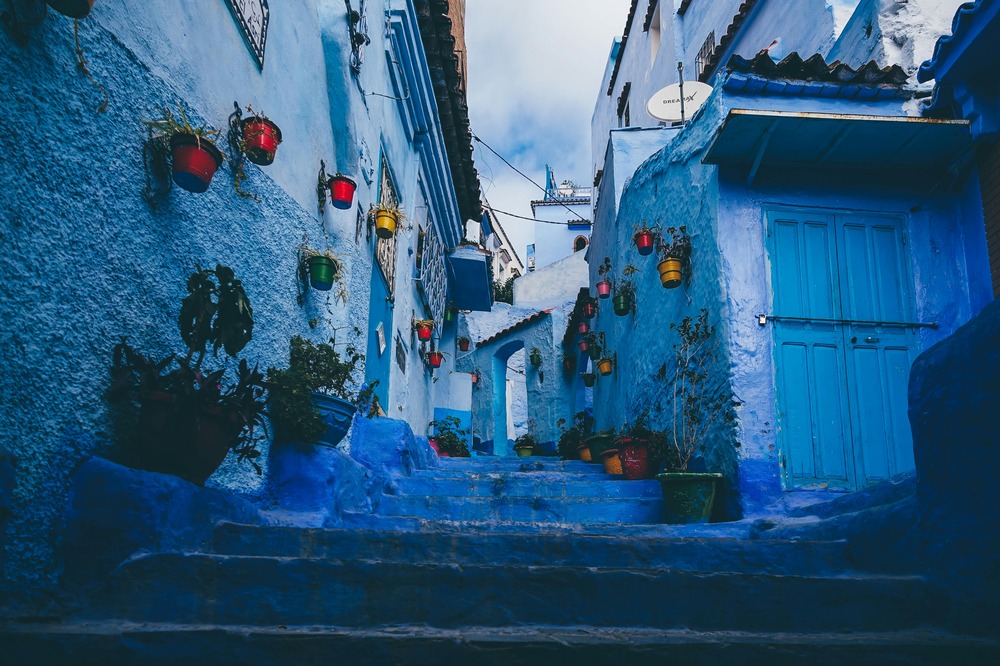 Wander the Blue Streets