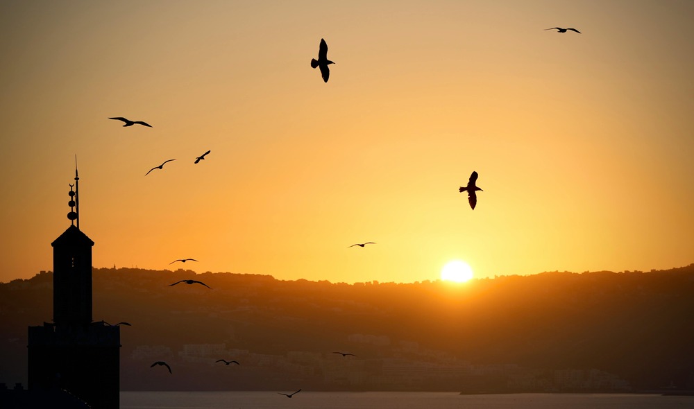 Things to Do in Tangier at Night: A Local's Guide